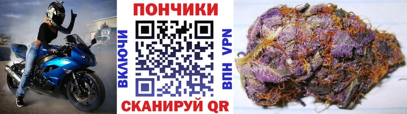 Купить Боровичи Альфа ПВП  Марихуана  Галлюциногенные грибы  Меф  Гашиш  Cocaine 